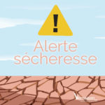 Sécheresse